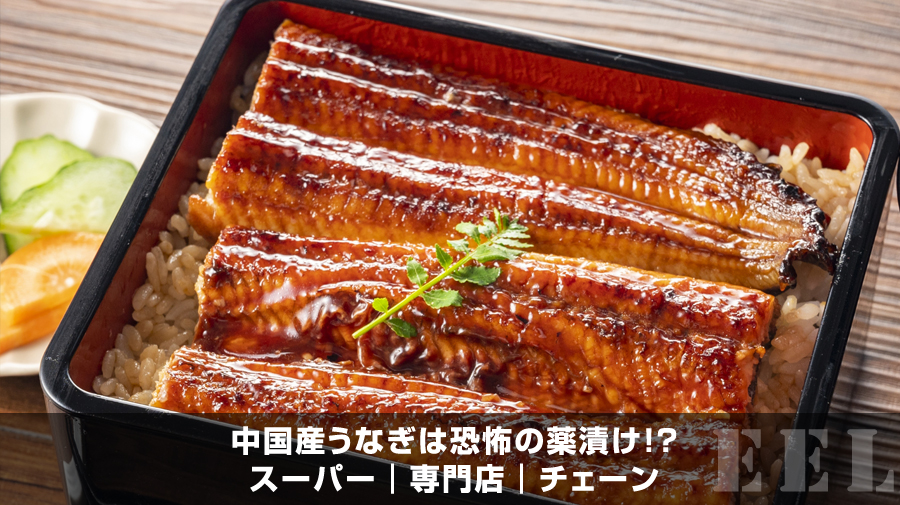 中国産うなぎは恐怖の薬漬け!?|スーパー|専門店|チェーン