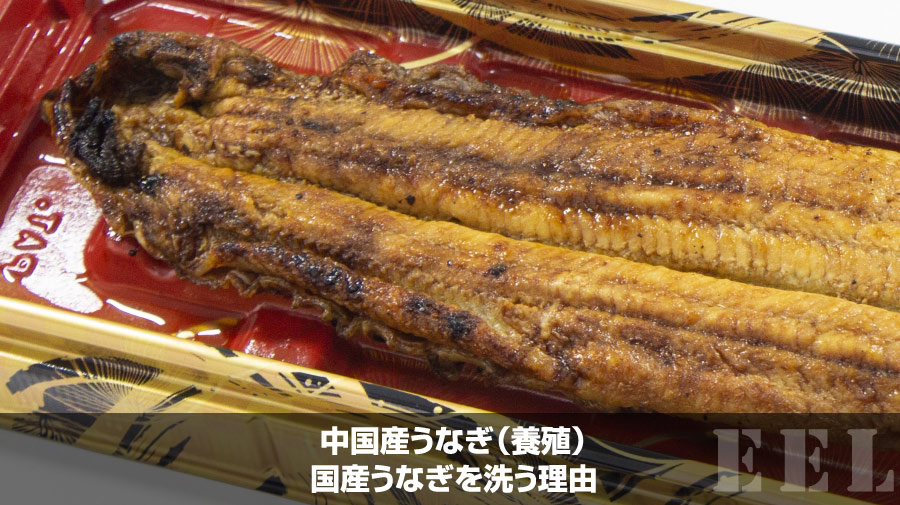 中国産うなぎ(養殖)|国産うなぎを洗う理由