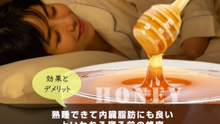 熟睡できて内臓脂肪にも良いといわれる寝る前の蜂蜜｜効果とデメリット